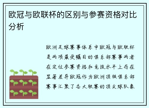 欧冠与欧联杯的区别与参赛资格对比分析