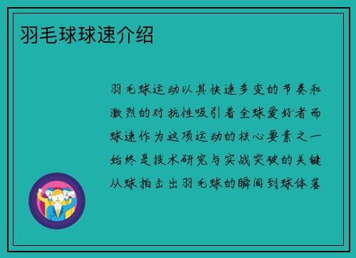 羽毛球球速介绍